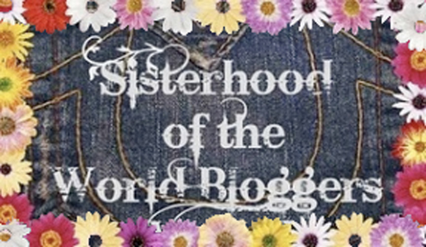 Sisterhood of the world blogger Award