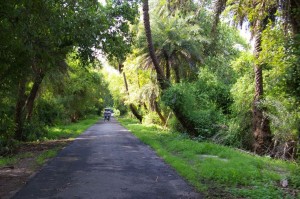 Keoladeo National Park (Pinterest.com)1