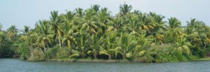 Kerala.jpg(elatrip.com)