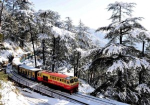 Toy train in Shimla
