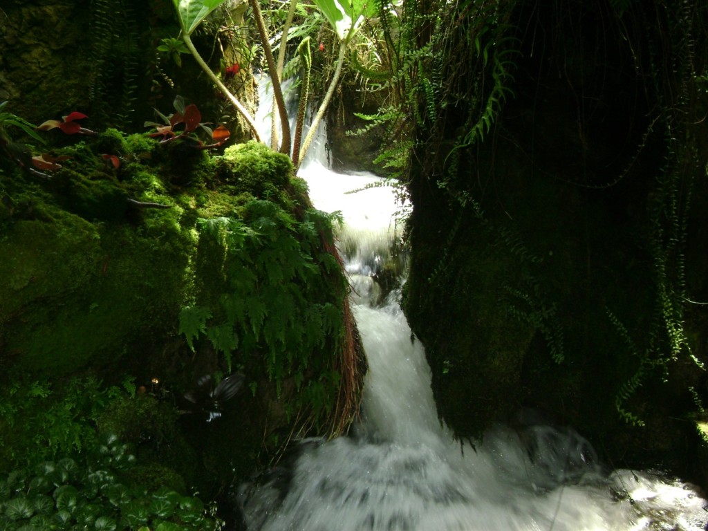 Copyright image- DSC00264.JPG