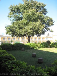 Deer Park institute, Bir, Himachal Pradesh