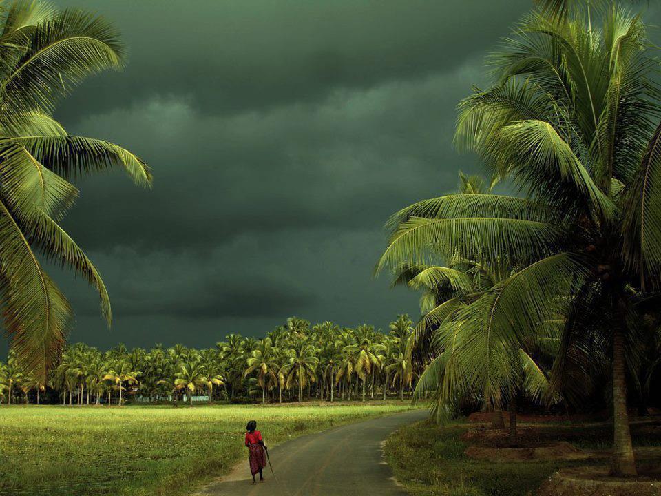 Kerala (Image courtesy-waytoindia.com)
God's own country