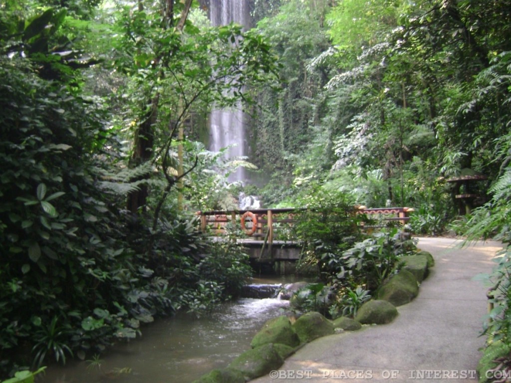 Dazzling waterfall inside the Jurong Bird Park
