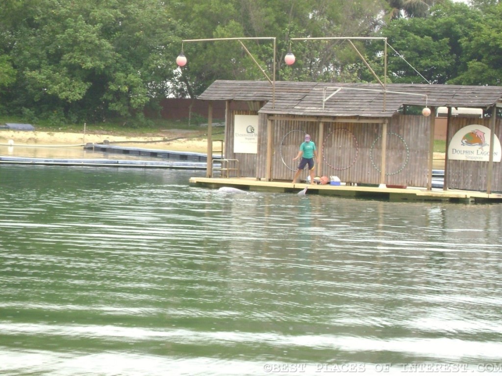 Dolphin Lagoon Singapore