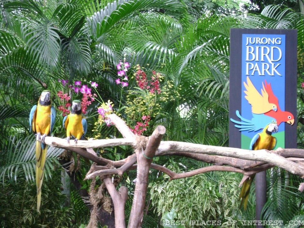 Jurong Bird Park