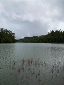 Berijam Lake (Img. courtesy-commons wikimedia.org)