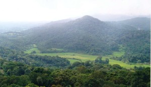 Coorg-Kodagu (indianjaunt.com)