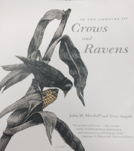 Image courtesy- Amazon.com