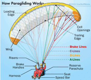 How paragliding works -https://www.pinterest.com/pin/372743306631278060/