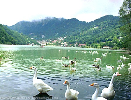 nainital_vid_new