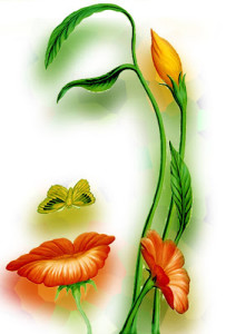 nurture-natures-hidden-beauty