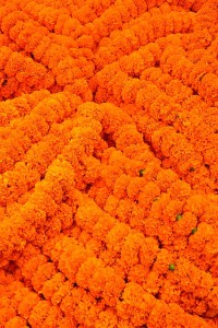 Marigold garlands