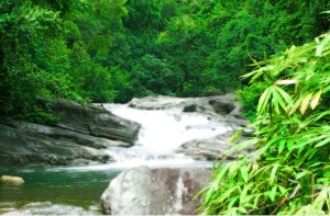 Meenmutty falls