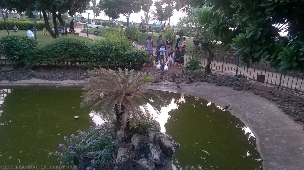 WP_20151030_17_45_09_Pro