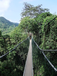 Taman Negara Canopy Walkway, Malaysia