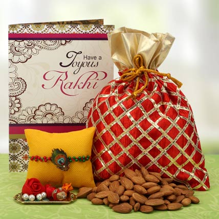 Raksha Bandhan, brotherly love, festival in India