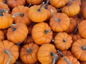 Mini pumpkins at farmers market