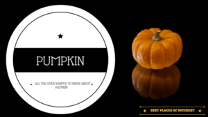 All you ever wanted to know about a pumpkin
