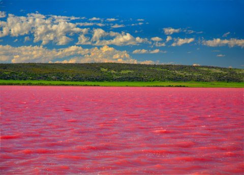 The Lac Rose (Or Lake Retba ) in Senegal, bizarre places to visit