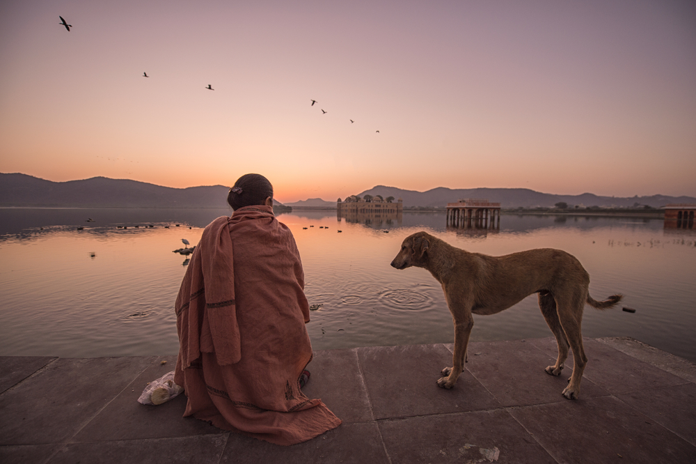 Jal mahal, Jaipur