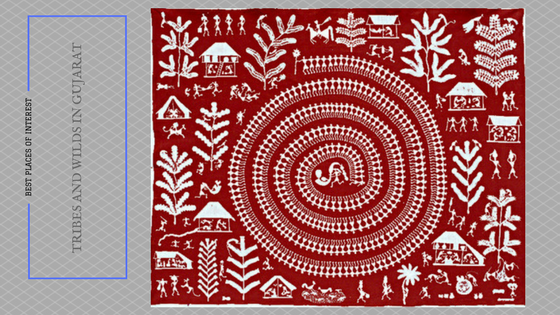 Tribes and wilds in Gujarat
