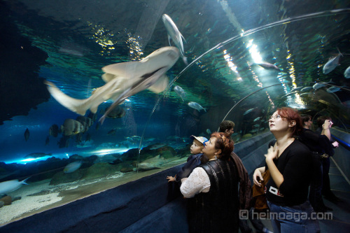 Duman, underwater, Astana, Kazakhstan