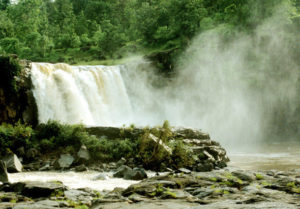 Saputara- tribes and wilds in Gujarat