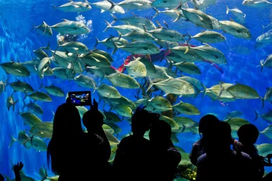 Manila Ocean Park- historical spot in Manila