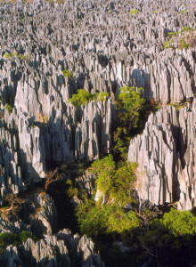 Madagascar, bizarre places