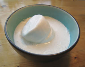 Canned coconut milk