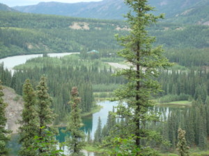 Denali National Park and Preserve, Alaska