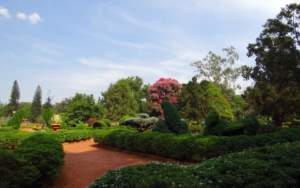 Botanical Garden, Lal Bagh, Park, Garden, Greenery