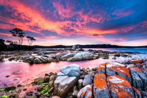 bay of fires, nature lovers
