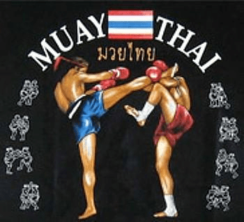 Do Muay Thai, fun retreat