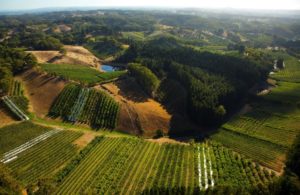 Adelaide Hills, nature lovers