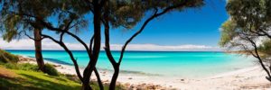 Margaret river, nature lovers