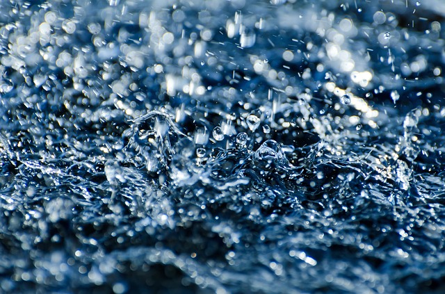 WPC- Close up-Nature in a different perspective