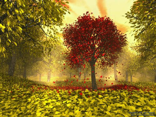 Nurture Yourself – Peacefully with Nature