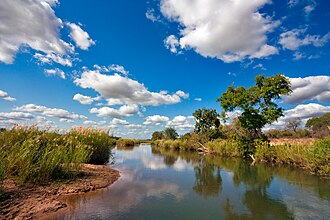  Landscape scenery in Kruger National Park, South Africa, along the Sabie River.