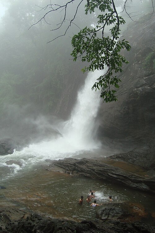 Soochipara Waterfalls, Wayanad