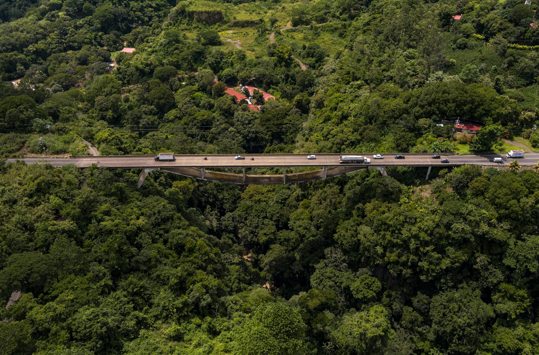 suspension bridge in dense green forest. sustainable tourism habits for tourist.