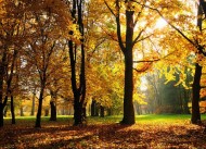 Seasons in India