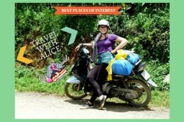 interview with Alice