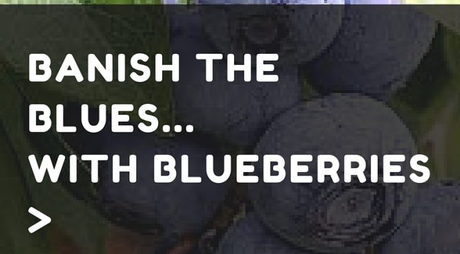 Banish the Blues… with Blueberries!