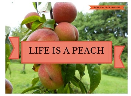 Life is a Peach!