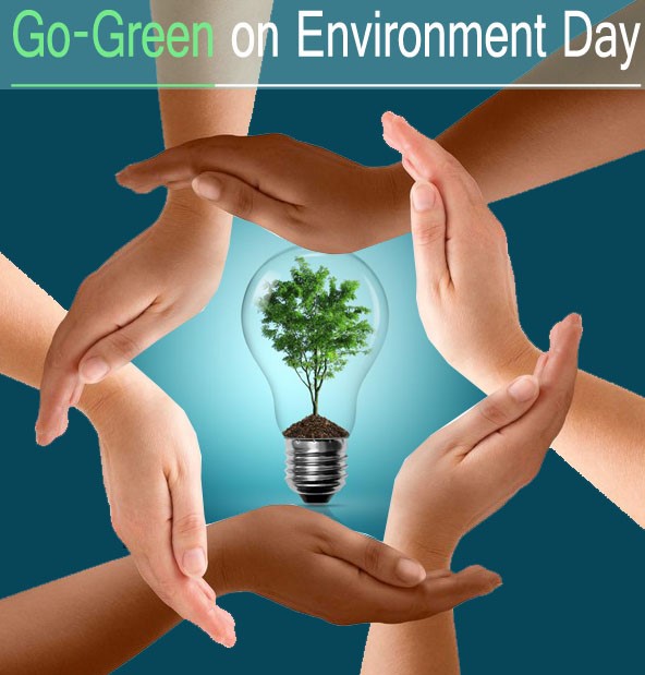10 Simple Ways to Go Green Every Day - Best Places of Interest