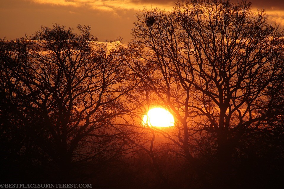 In the Morning of Life