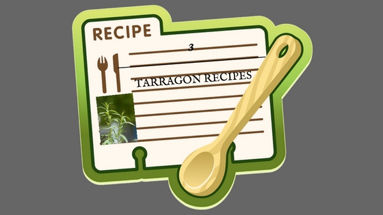 3 tarragon recipes