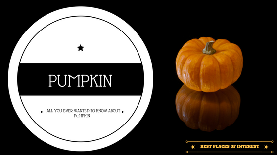 All you ever wanted to know about a pumpkin